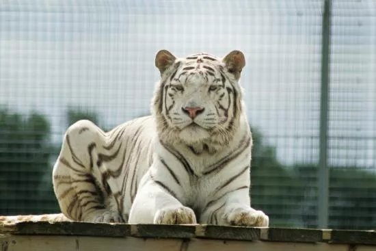 Hamerton Zoo Park