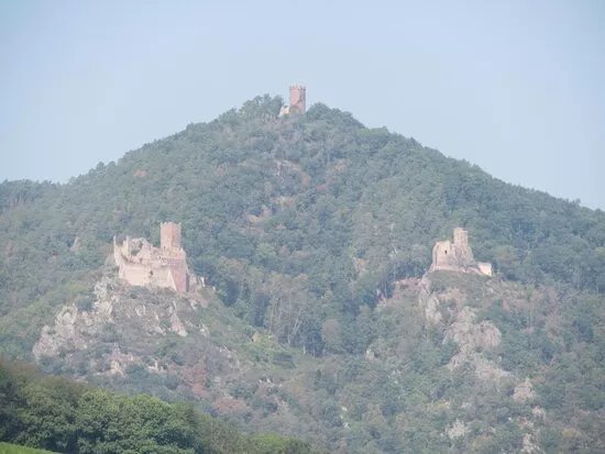 Randonnee des 3 chateaux de Ribeauville
