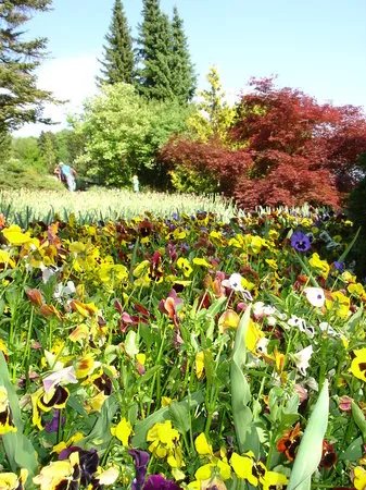Botanischer Garten