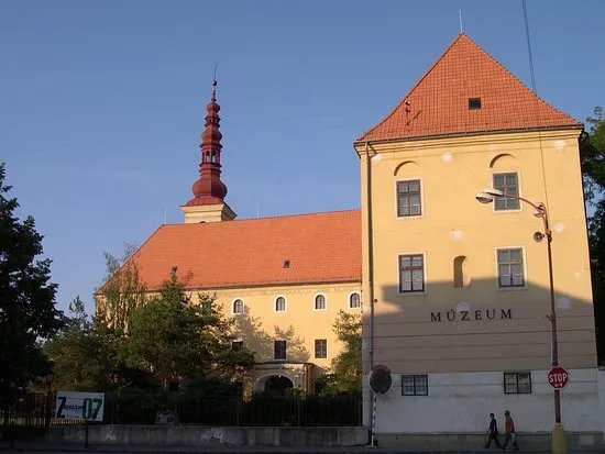 Zapadoslovenske muzeum