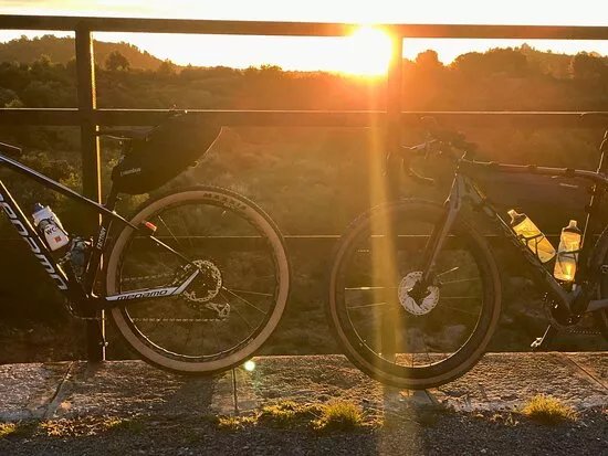 Life By Bike Tours