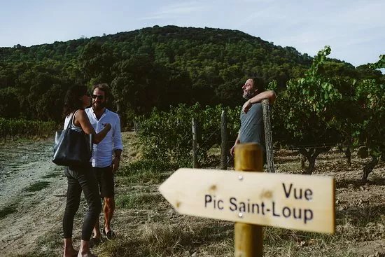 Bertrand Bosc Winetour