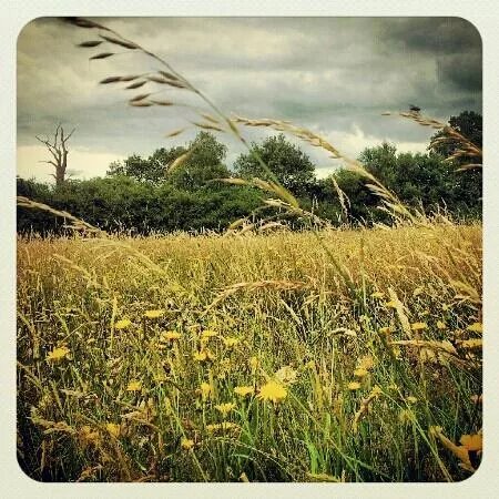 Itchen Valley Country Park