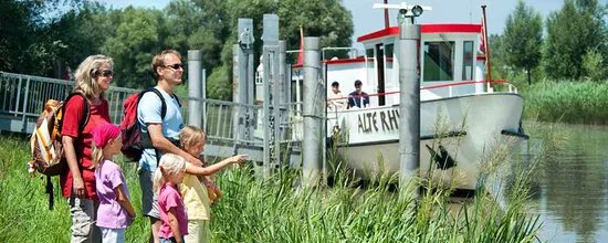 Witzweg