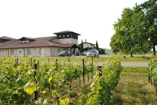 Azienda Agricola Vie di Romans