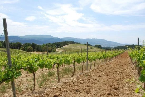 Domaine des Escaravailles