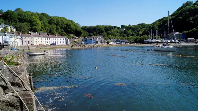 Crabbing At Lower Town, Fishguard
