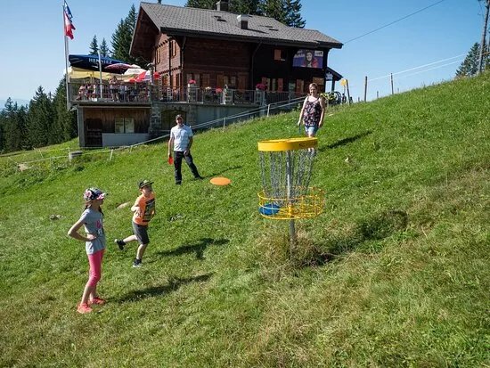Disc Golf