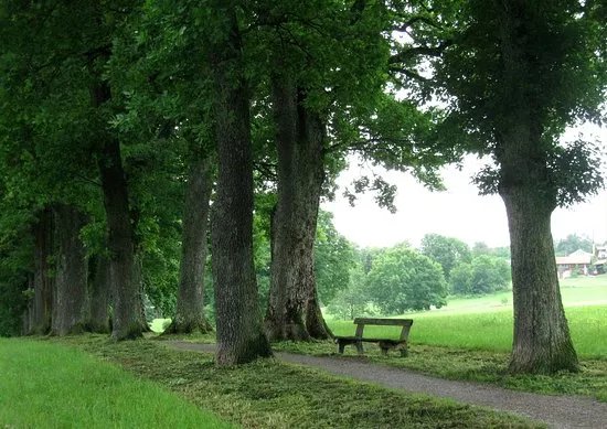 Kottmullerallee
