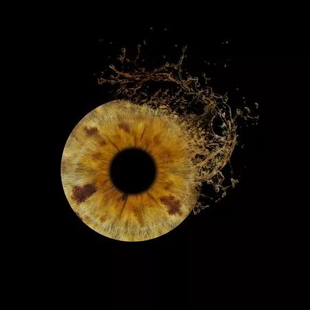 You & Eye Photo Montreux