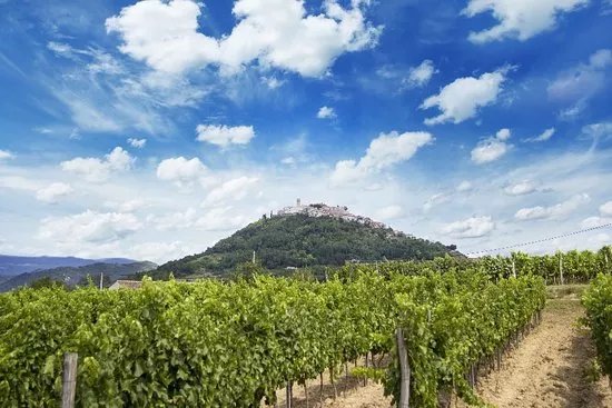 Benvenuti Winery