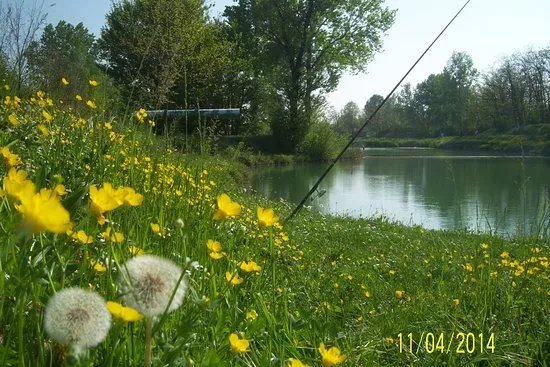 Parco Palustre