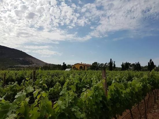 Azienda Agricola Leda' d'Ittiri