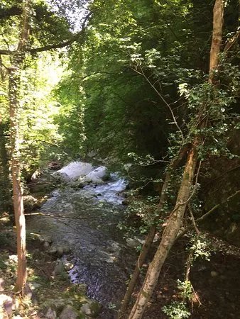 Gaul Canyon
