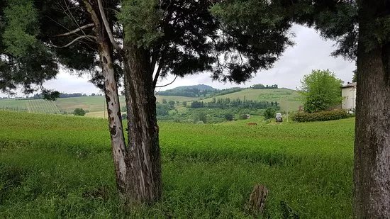 Azienda Agricola I Monticelli