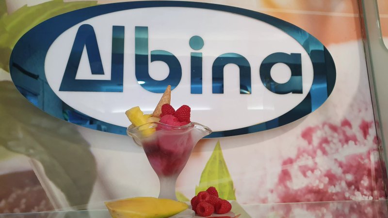 ALBINA Gelats Artesans