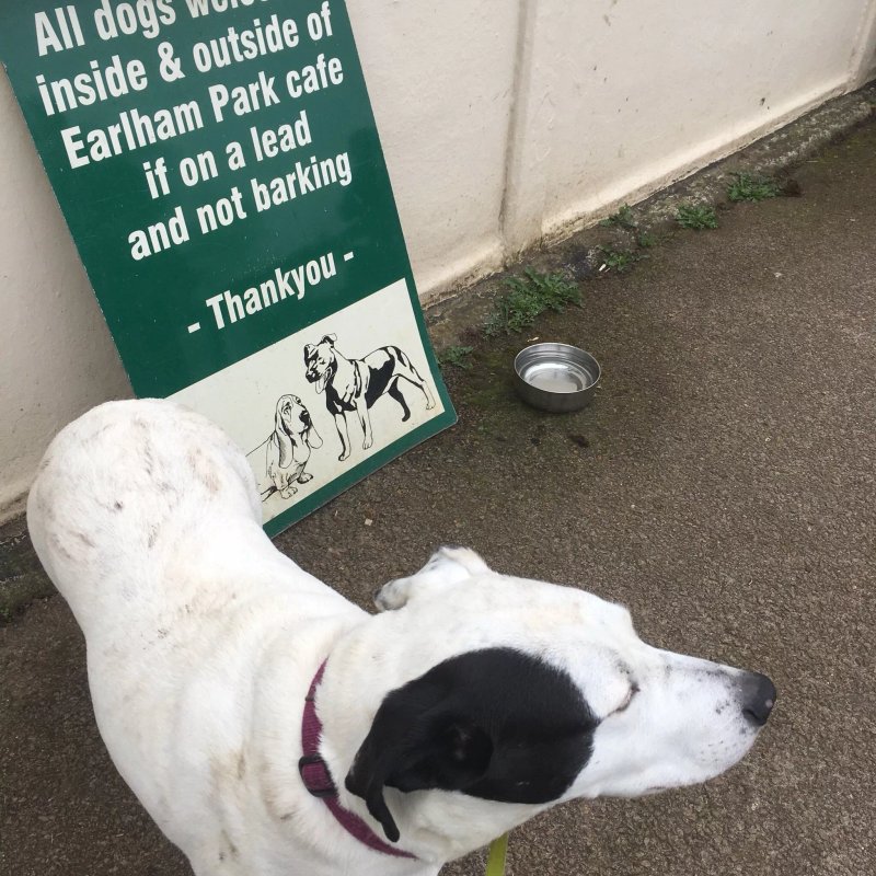 Earlham Park Cafe' Norwich