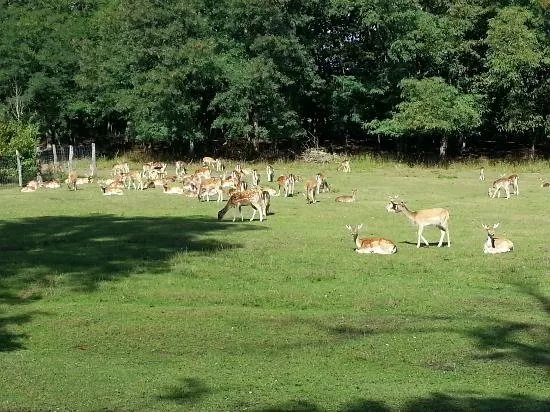Parks & Nature