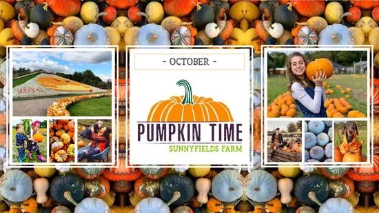 Pumpkin Time @ Sunnyfields Farm