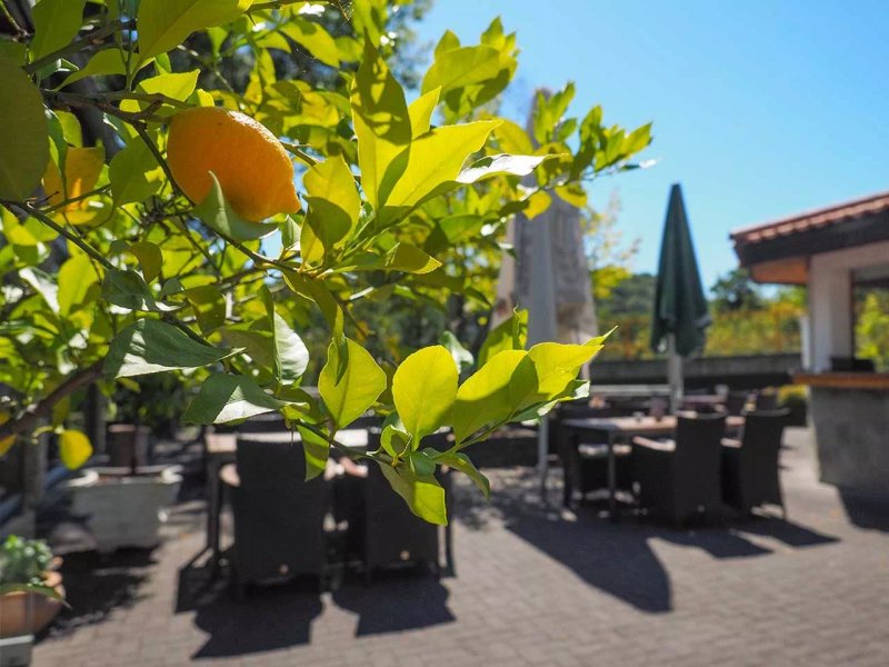 Griechisches Spezialitaten Restaurant Delphi