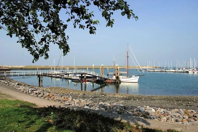 Detached luxurious lodge with washingmachine, near the beach