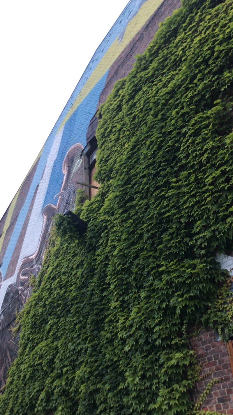 Club Seilerstrasse