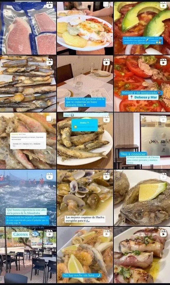 Dehesa Y Mar