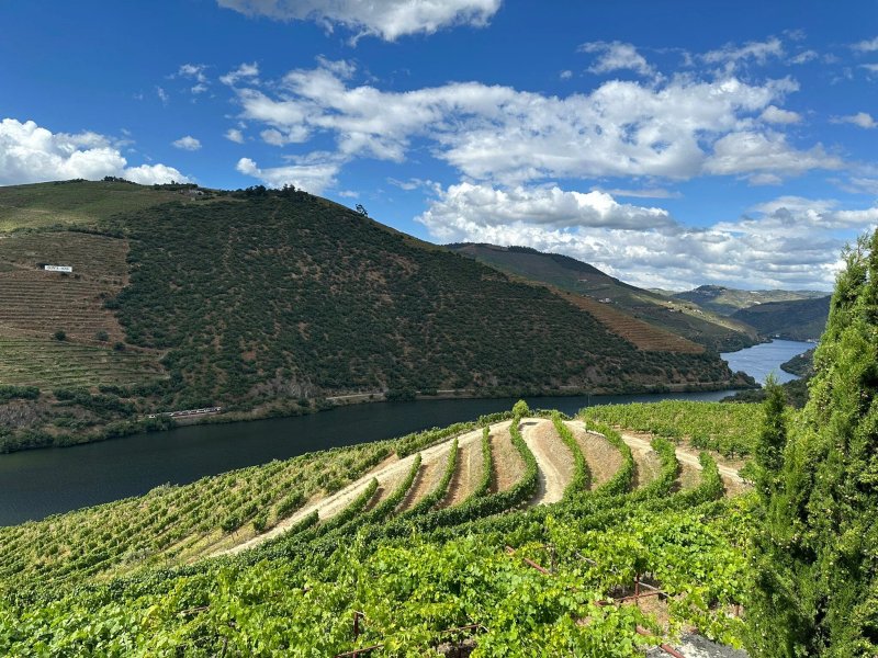 CASA da PISCINA, Quinta do Espinho, Douro Valley
