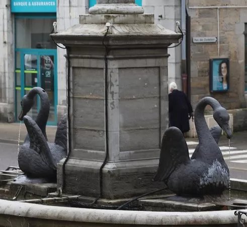 Fontaine aux cygnes