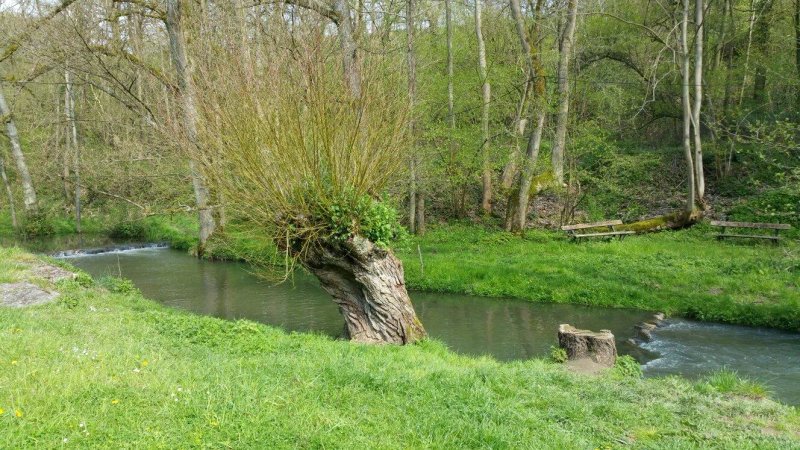 Restaurant "Les Viviers"