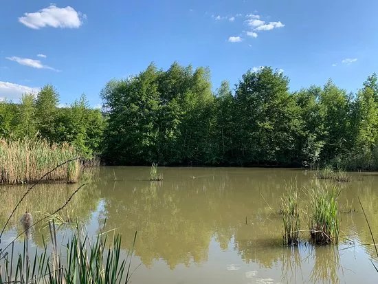 Lac de la Graviere