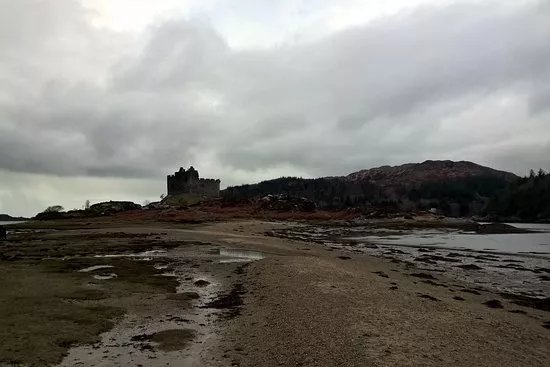 Scottish Executive Travel