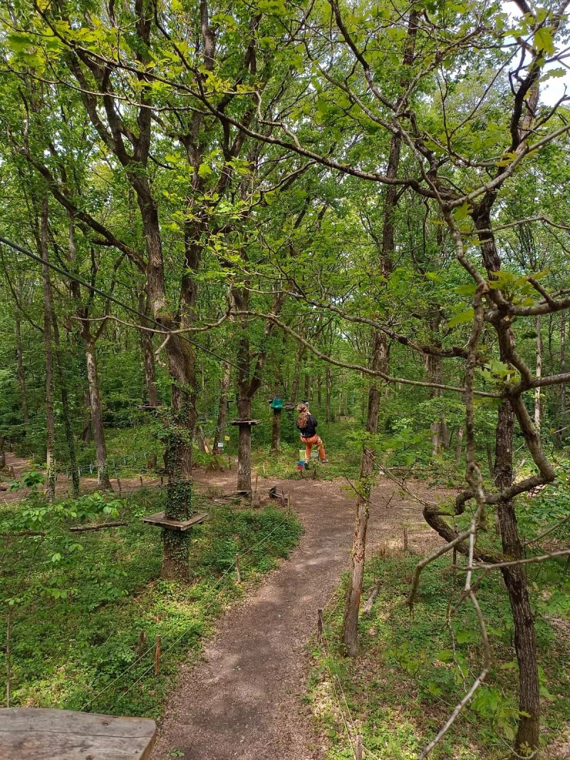 Parcours Lemuriens