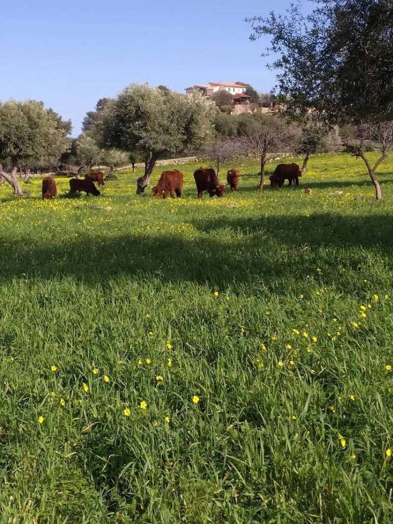 Azienda Agrituristica Fattoria Terra e Liberta Farm