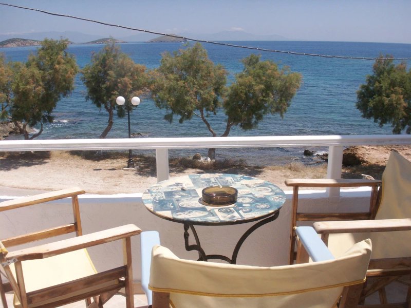 Anemelia Studios