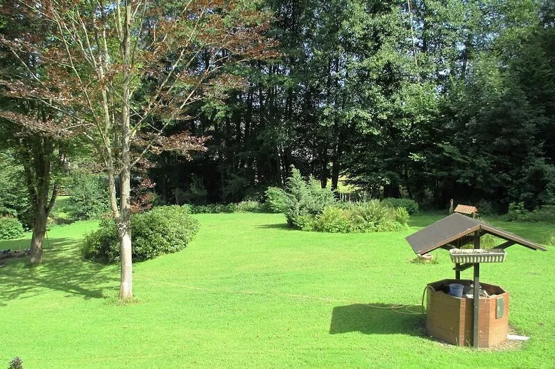Apartment right on the forest in a quiet, secluded location in the heart of the
