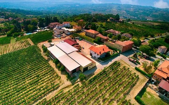 AZIENDA AGRICOLA IL POGGIOLO