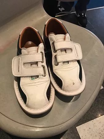 Electric Bowl