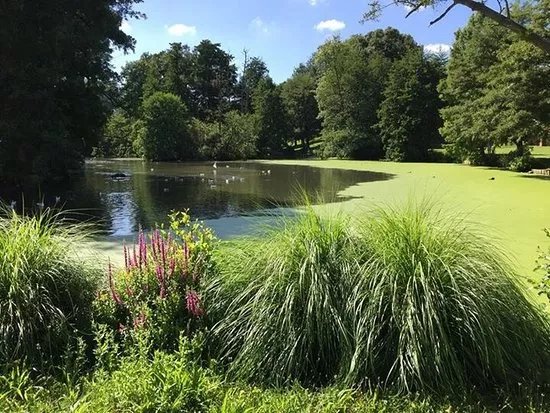 Parc de Rouelles