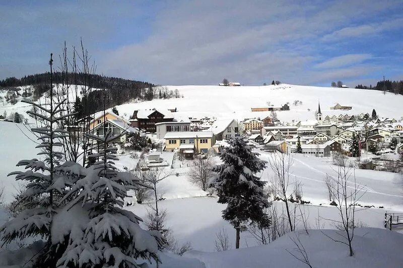 Large detached holiday home, family-friendly, fantastic location, St Gallen 10km