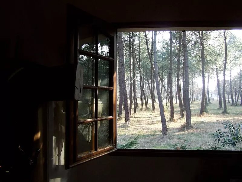Arcachon bay. Villa with swimming pool. Nice benefits. The Teich