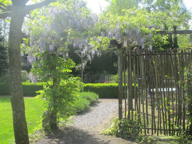 Roing B&B