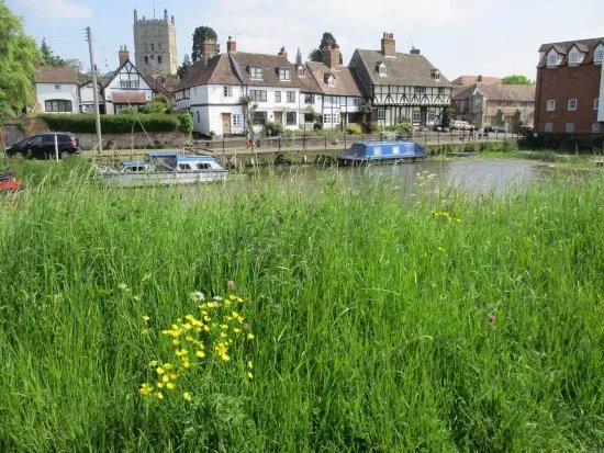 The Severn Ham
