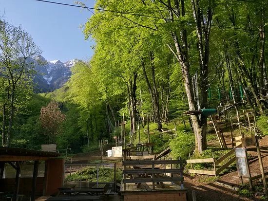 Leman Forest