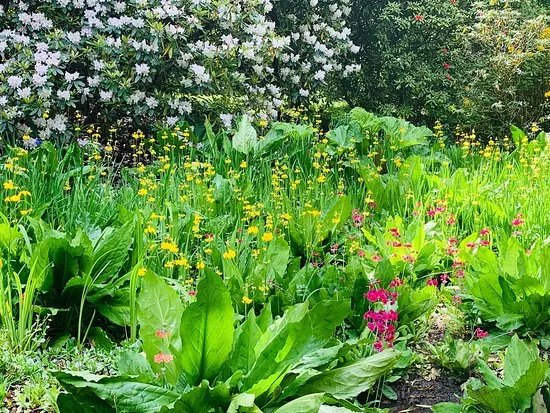 Clyne Gardens