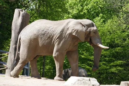 Zoo Wuppertal