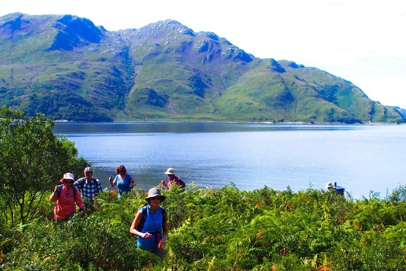 Walk Wild Scotland Day Tours
