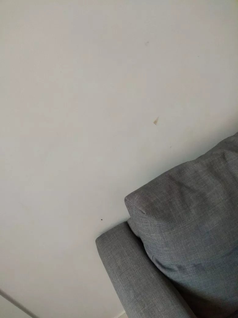 Appartements Place Bellecour - Lyon Cocoon