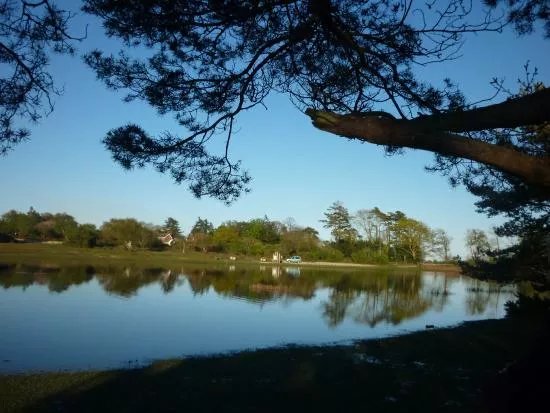 Hatchet Pond