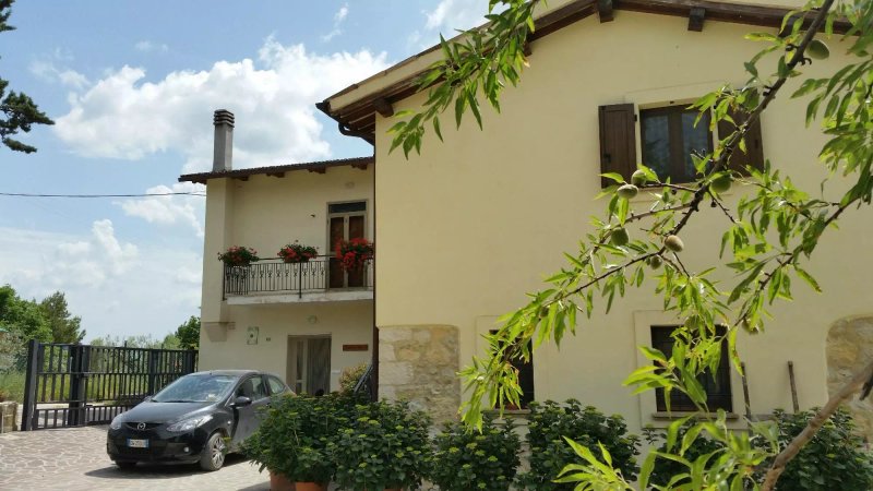 La Collina degli Ulivi